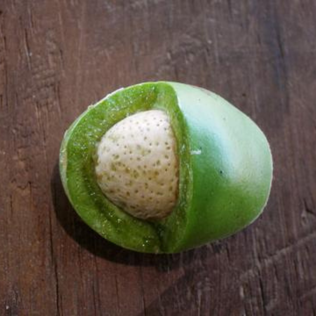 Why Mongongo Oil Works For Chapped Lips