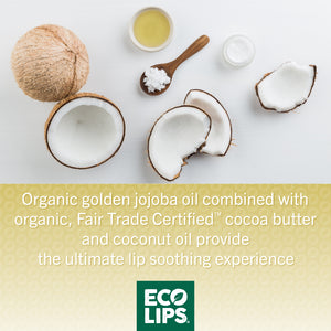 LIP FOOD® Protect Organic Lip Balm, 0.15 oz.