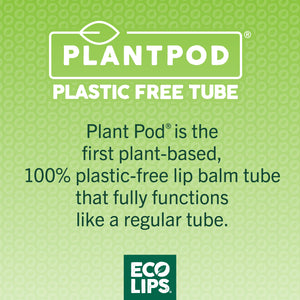 Classic Plant Pod® Sport Broad Spectrum SPF 30 Sunscreen Lip Balm, 6 Pack