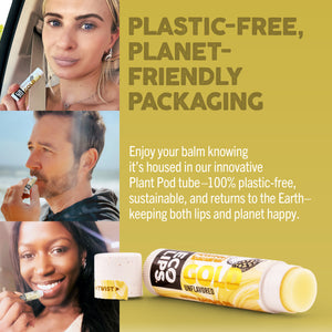 Gold Plant Pod® Organic Lip Balm, 6 Pack