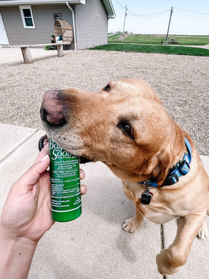 Bug Soother Bug Repellent, Large Family Pack