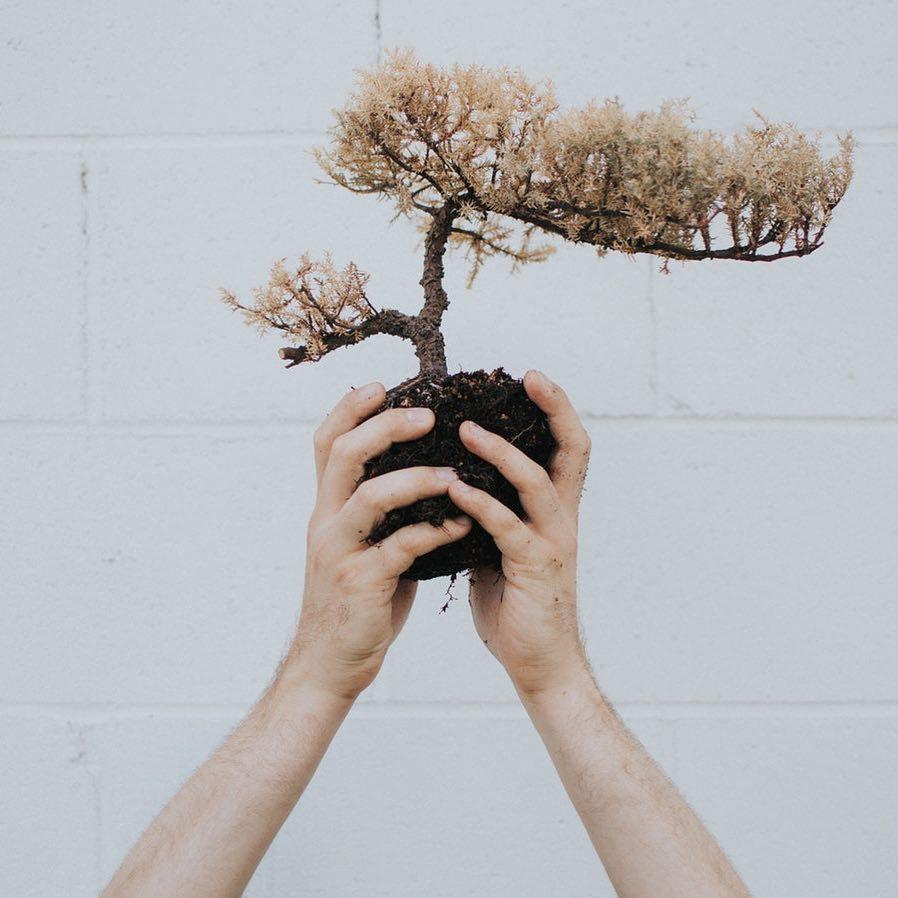 New Year, New You: 13 Ways to Reduce Your Carbon Footprint