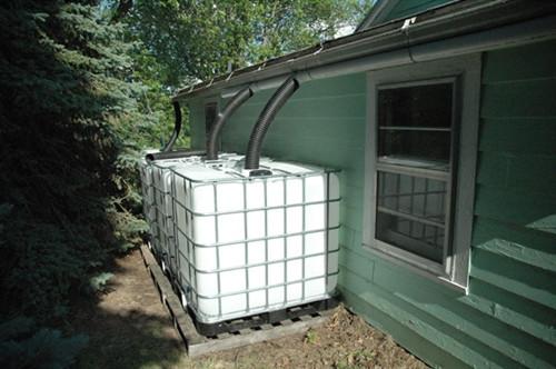 Eco Lips Provides Used Totes to Sustainable Community in Fairfield, Iowa