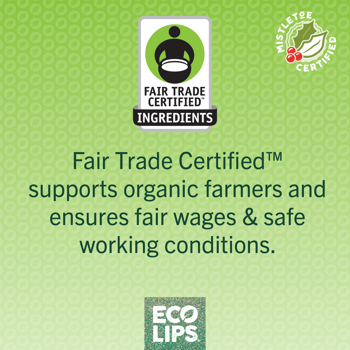 Novelty Plastic Candy Cane + Mongo Kiss Holiday Set, 3-Count