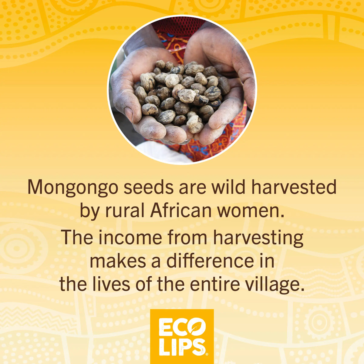 An image of Mongongo seeds with description of wild harvested by rural African women.
