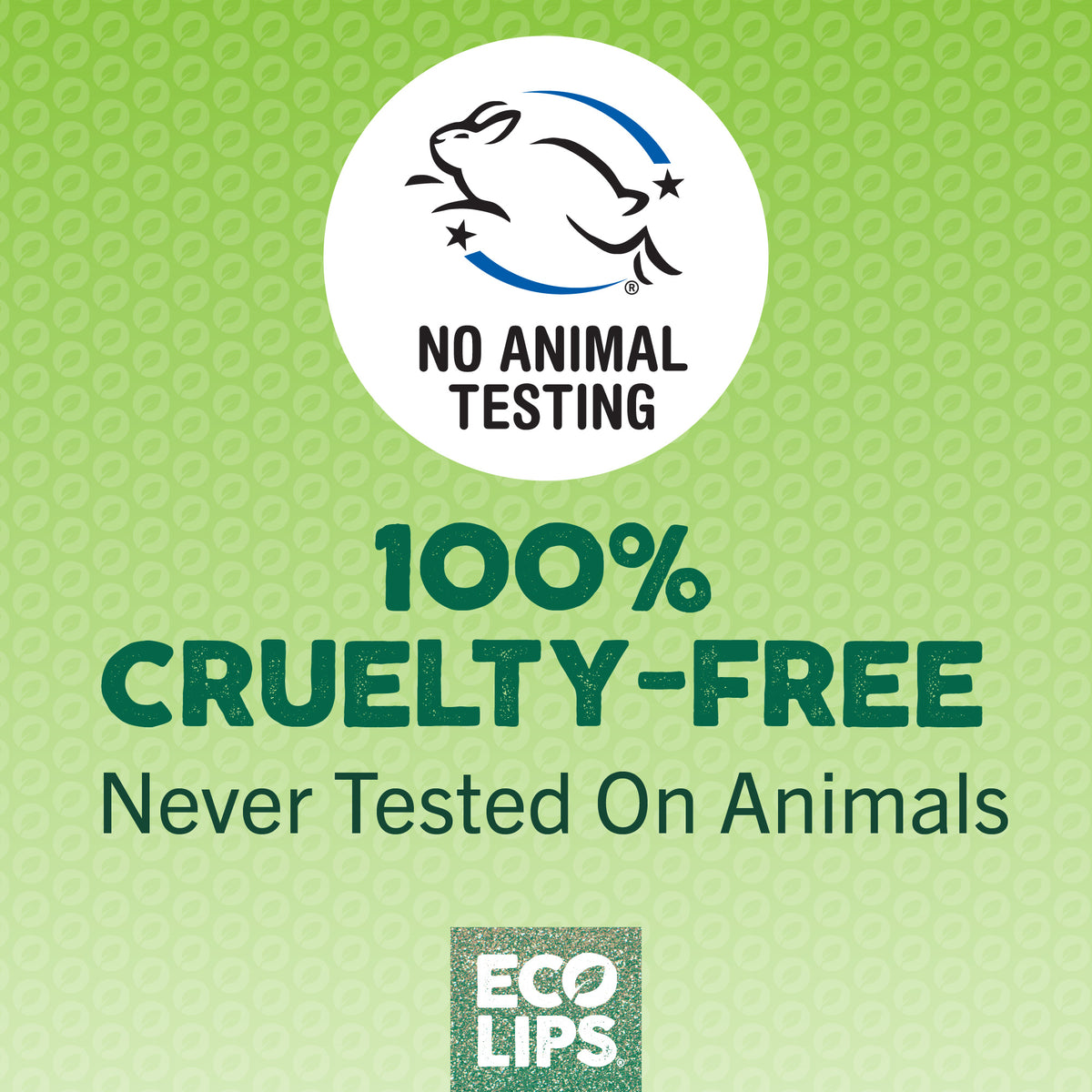 Holiday Candy Cane Vanilla Mint Sugar Lip Scrub 0.25 oz.