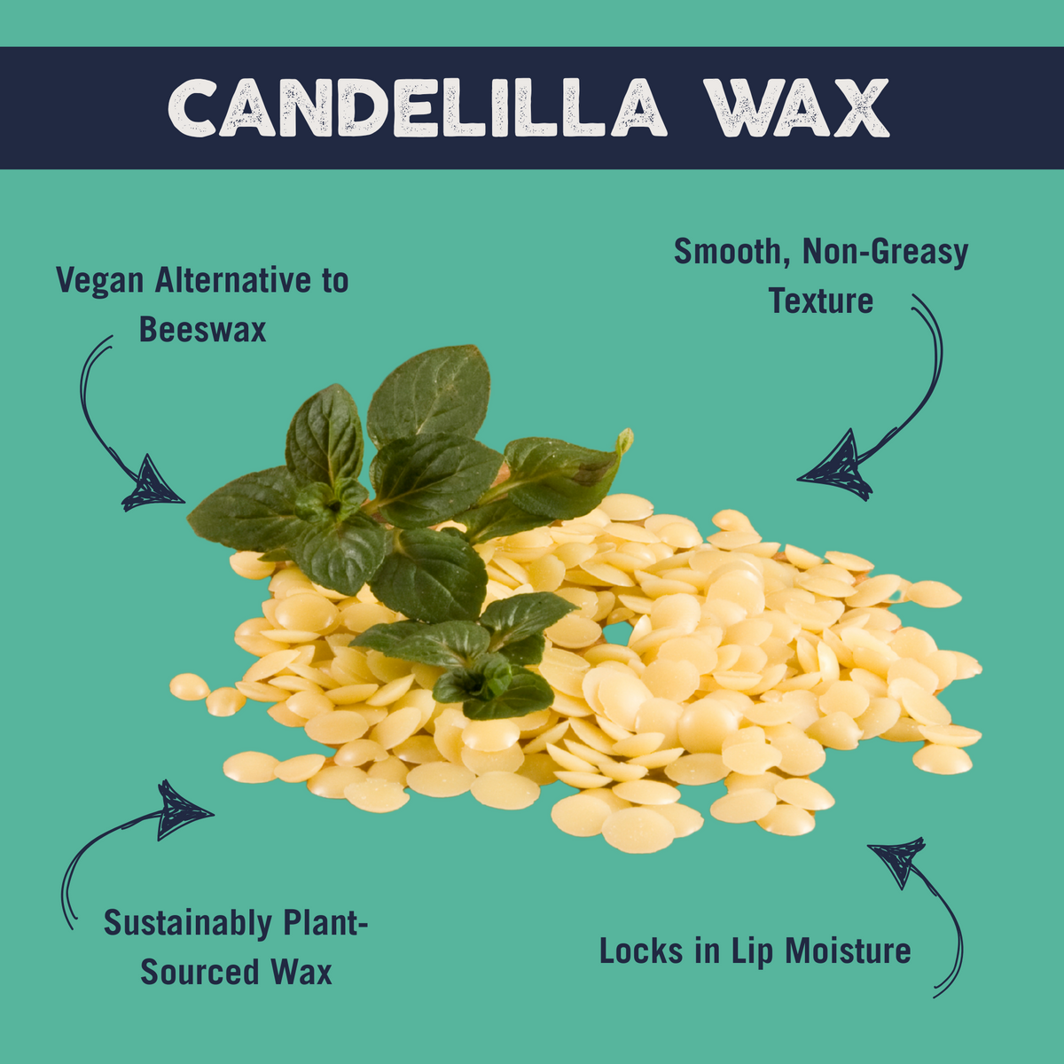 Vegan Bee Free® Plant Pod® Organic Lip Balm, 3 Pack Variety