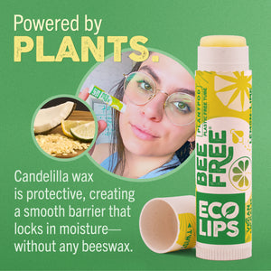 Vegan Bee Free® Plant Pod® Superfruit Organic Lip Balm, 3 pack
