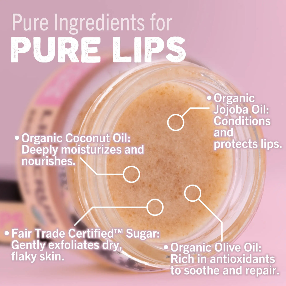 Jar of lip balm with pure ingredients listed on a pink background