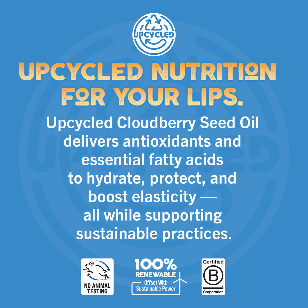 Plumping Daytime Lip Mask with Hyaluronic Acid, 0.39 oz.