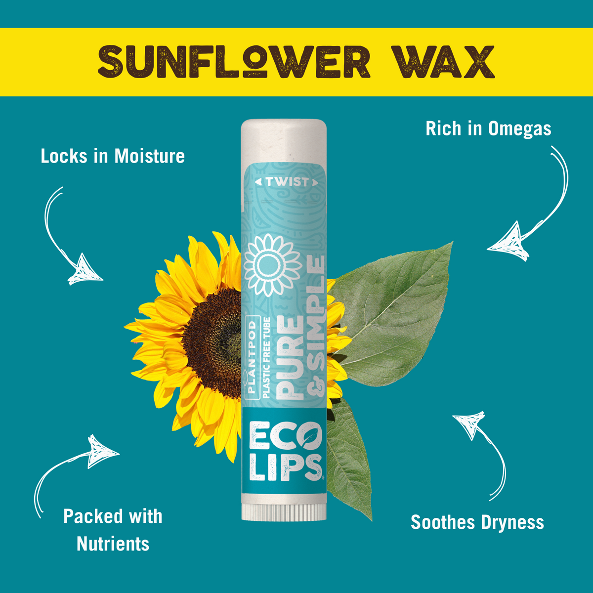 Lip balm with sunflower and text about sunflower wax on a blue background