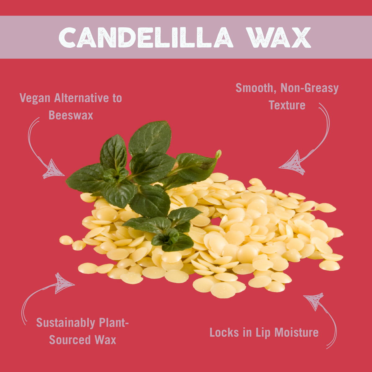 Vegan Bee Free® Plant Pod® Superfruit Organic Lip Balm, 0.15 oz.