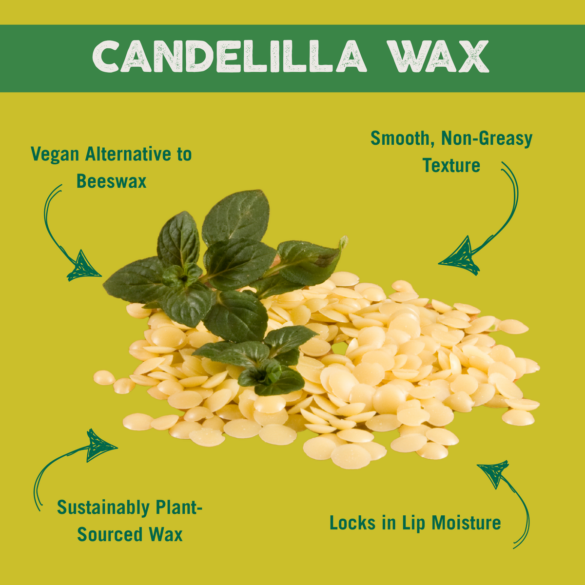 Vegan Bee Free® Plant Pod® Lemon Lime Organic Lip Balm, 0.15 oz.