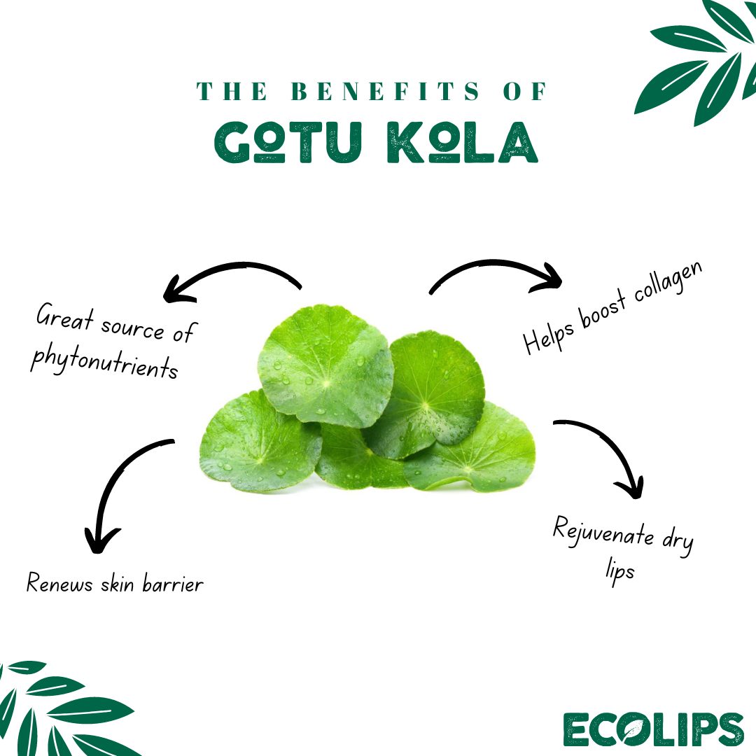 Intensive Overnight Lip Mask, 2 Pack