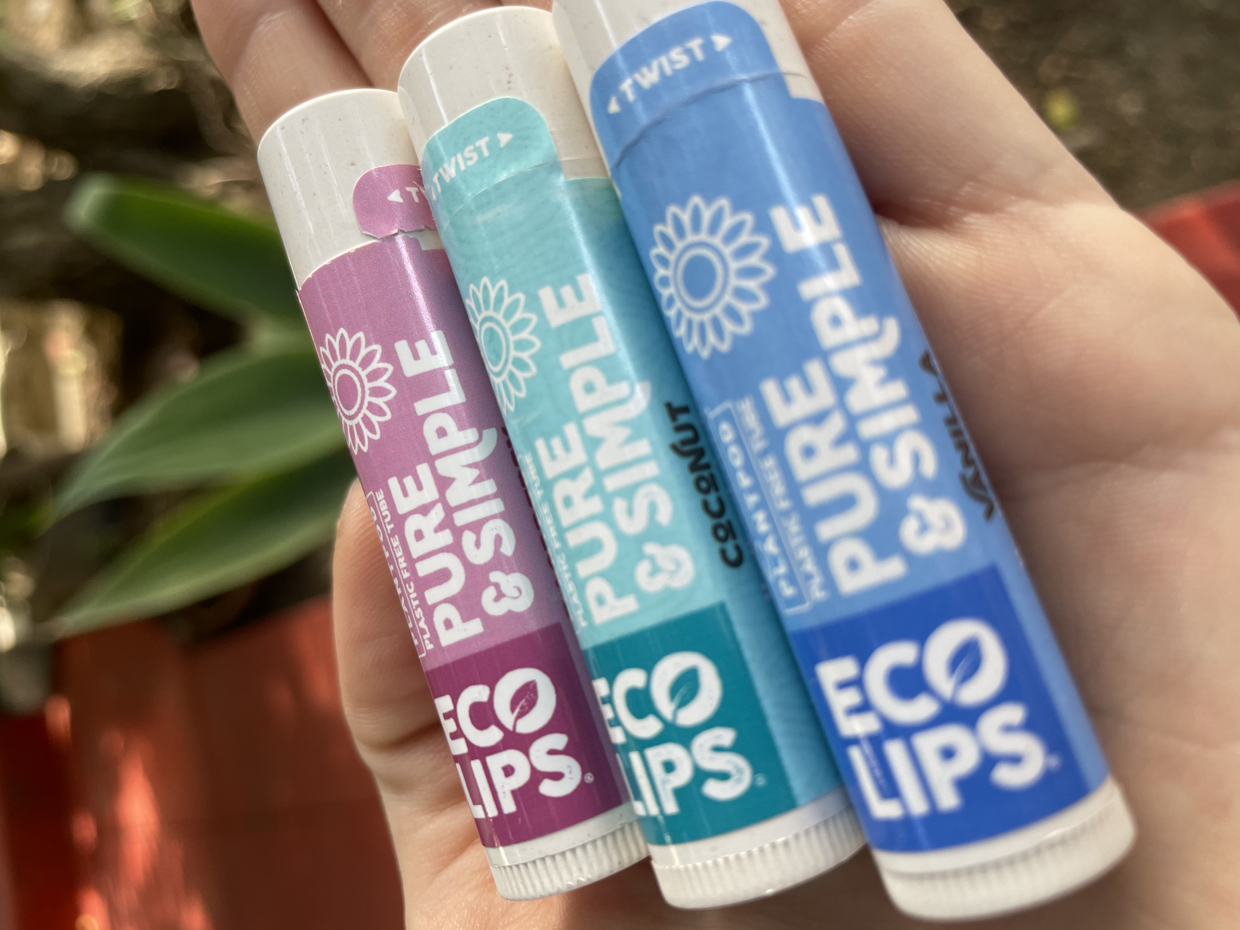 Pure & Simple Variety Plant Pod® Organic Lip Balm, 9 Pack Variety - Eco  Lips Store